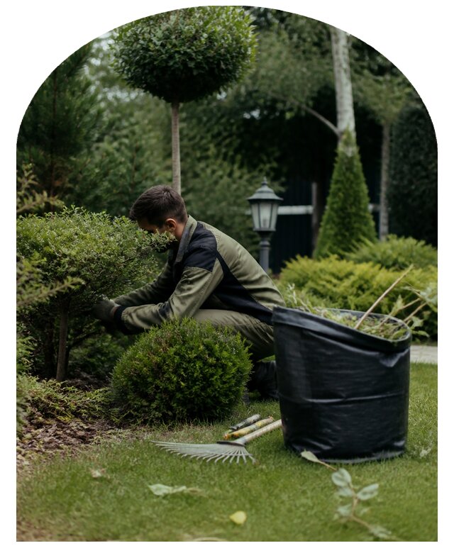 Профессиональный уход за садом и растениями в Лесне